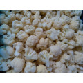 Frozen / IQF coliflor verduras comida